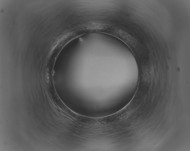 X0000070860731200606231252