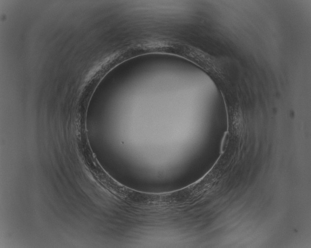 X0000070860732200606231252