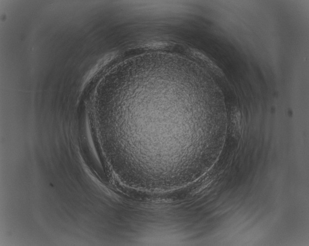 X0000070860734200606231252