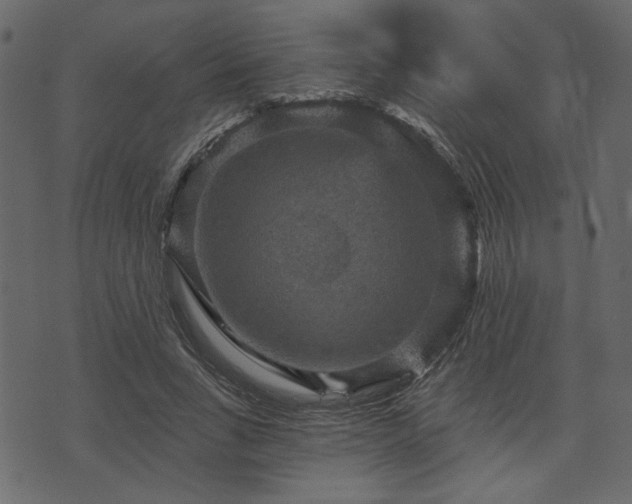 X0000070860735200606231252