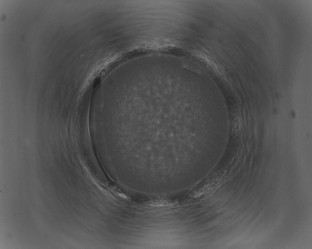 X0000070860736200606231252