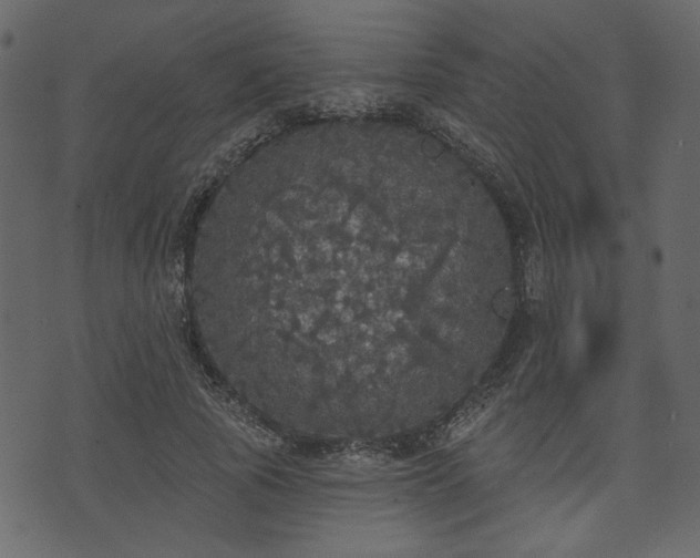 X0000070860737200606231252