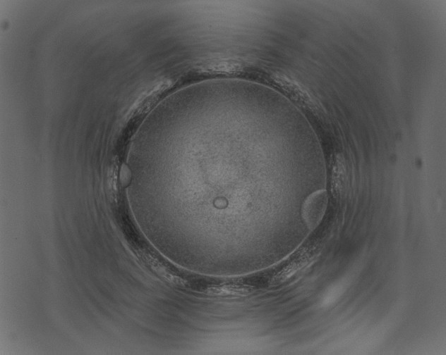 X0000070860739200606231252