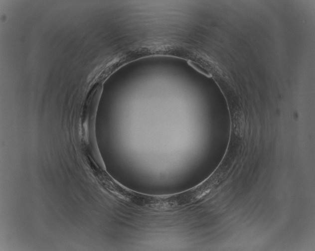 X0000070860740200606231252