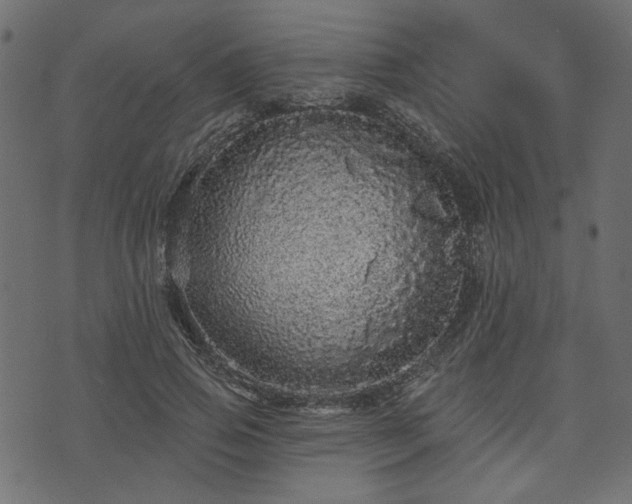 X0000070860741200606231252