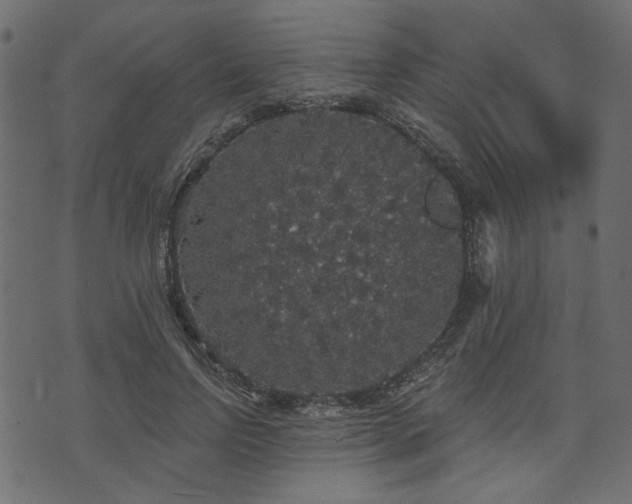 X0000070860742200606231252