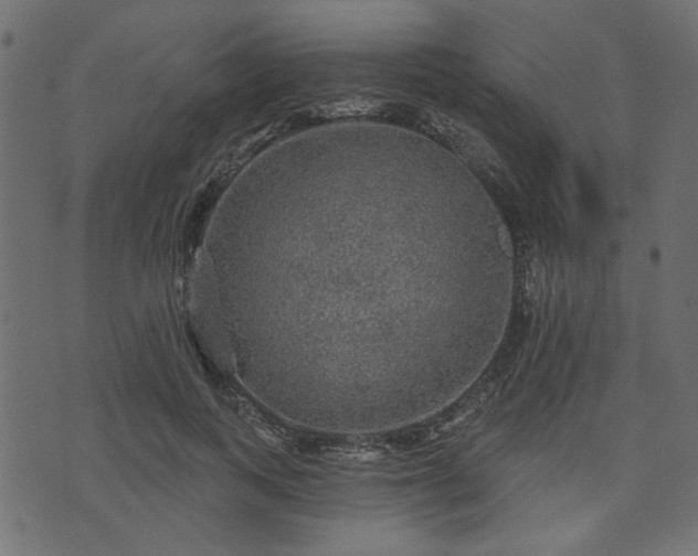 X0000070860743200606231252