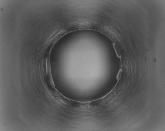 X0000070860744200606231252