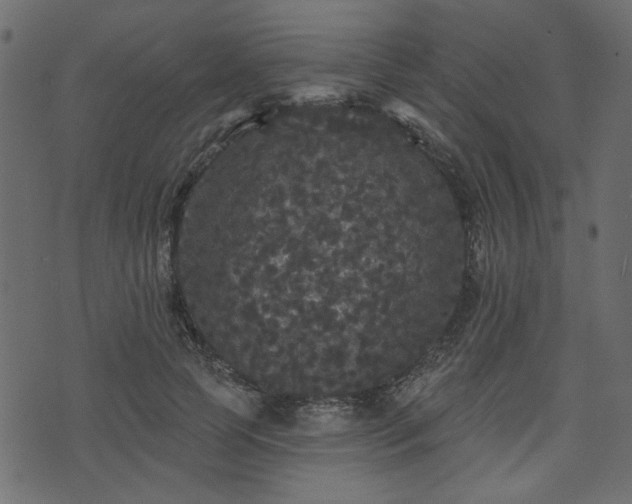 X0000070860745200606231252