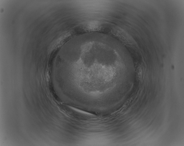 X0000070860746200606231252