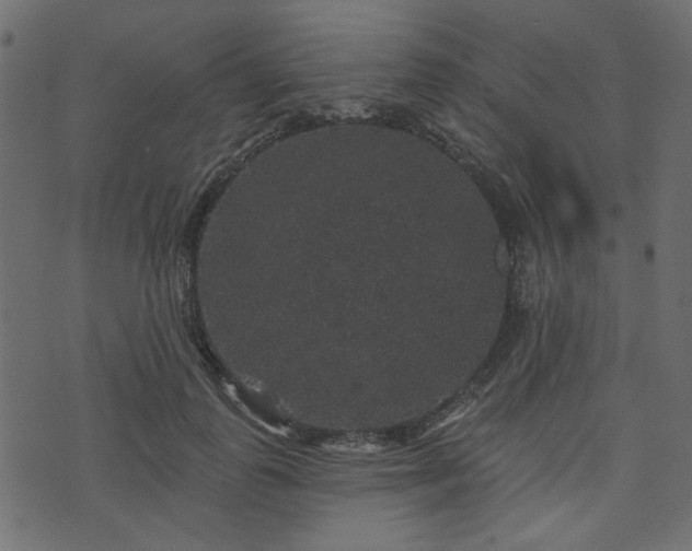 X0000070860747200606231252