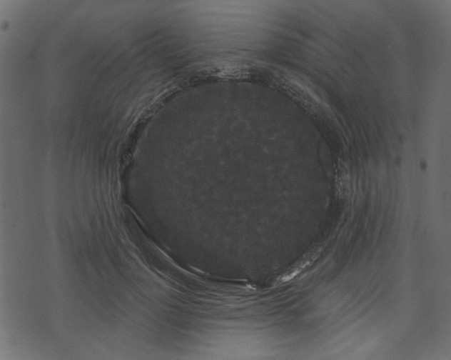 X0000070860748200606231252