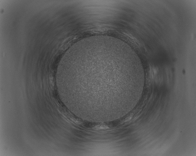 X0000070860749200606231252