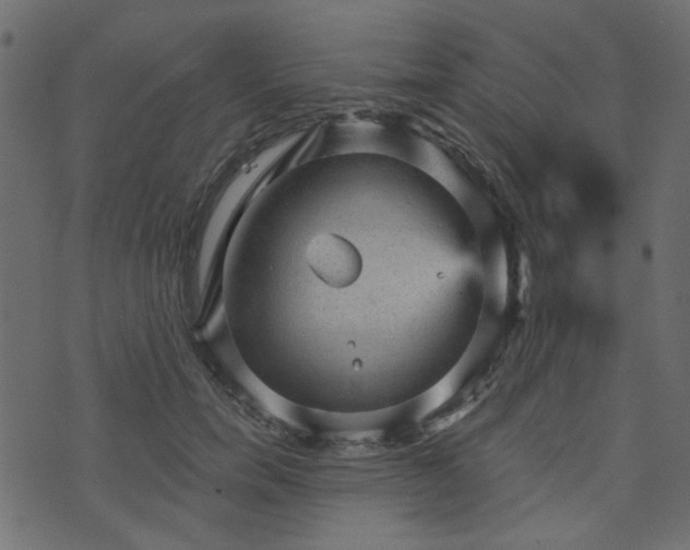 X0000070860750200606231252