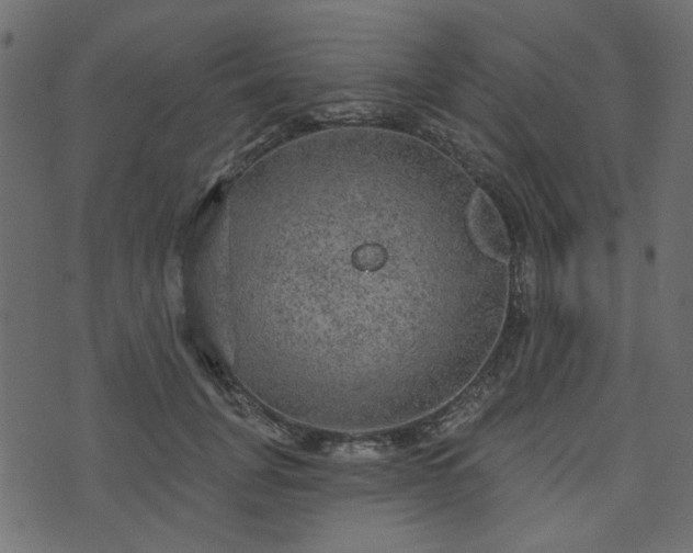 X0000070860751200606231252