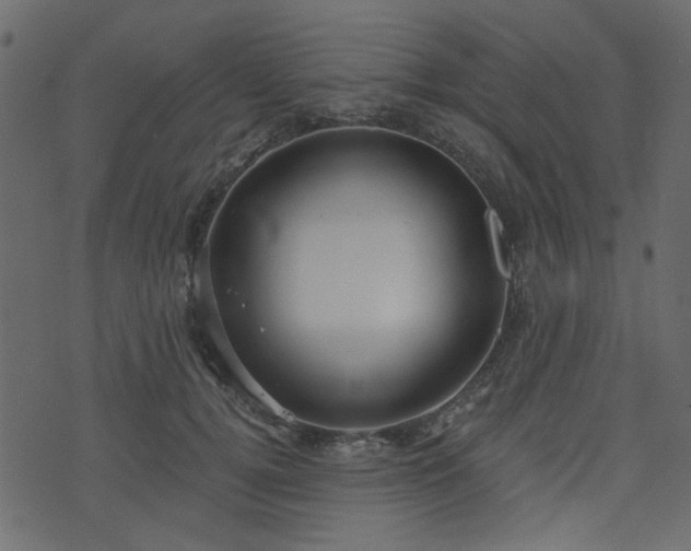 X0000070860752200606231252