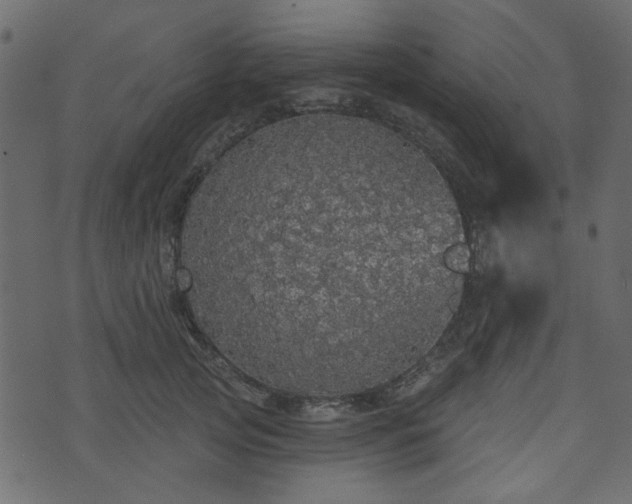 X0000070860753200606231252