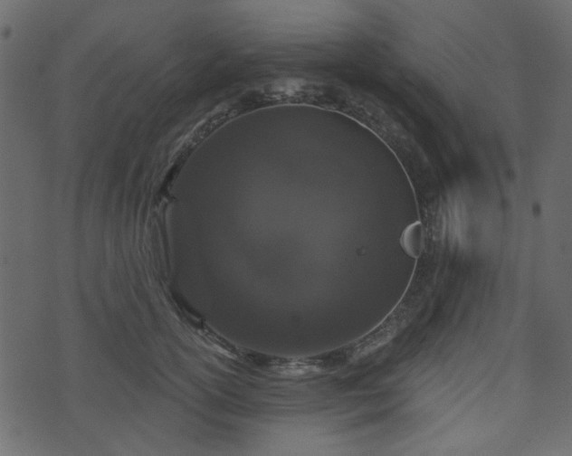 X0000070860754200606231252