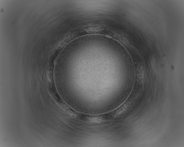 X0000070860755200606231252