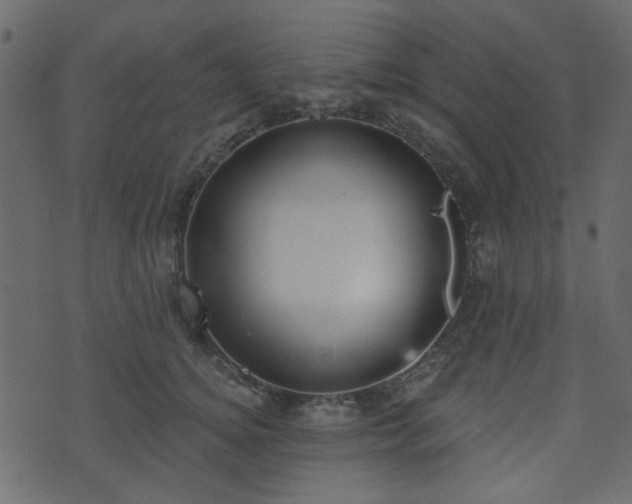 X0000070860756200606231252