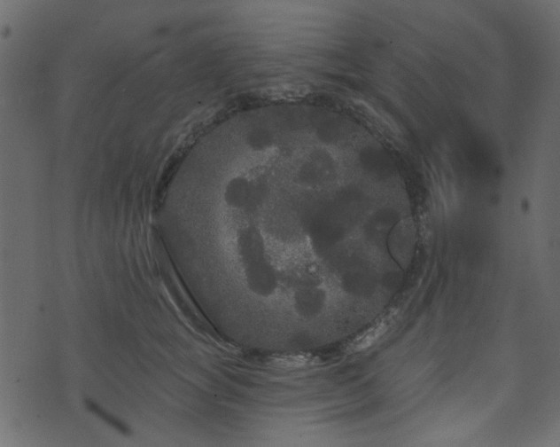 X0000070860757200606231252