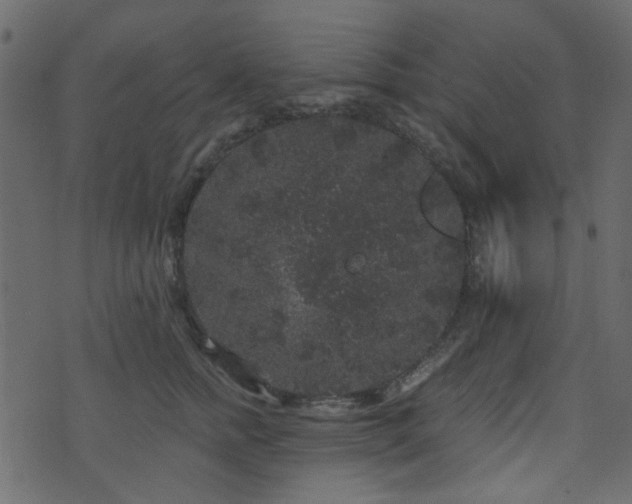 X0000070860758200606231252