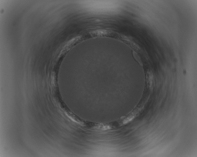 X0000070860760200606231253