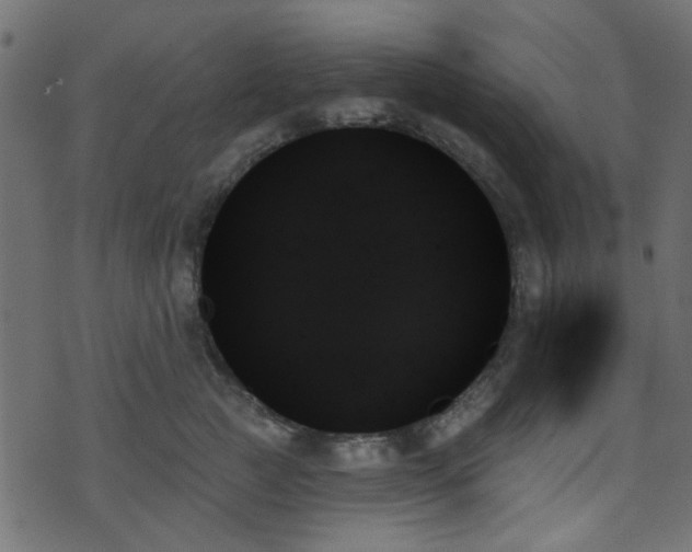 X0000070860761200606231253