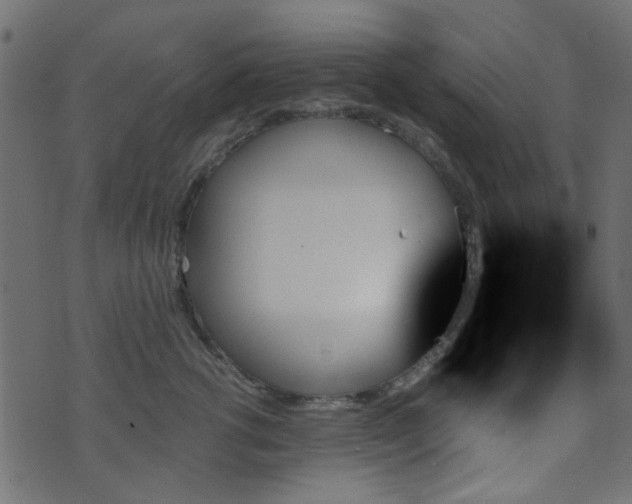 X0000070860762200606231253