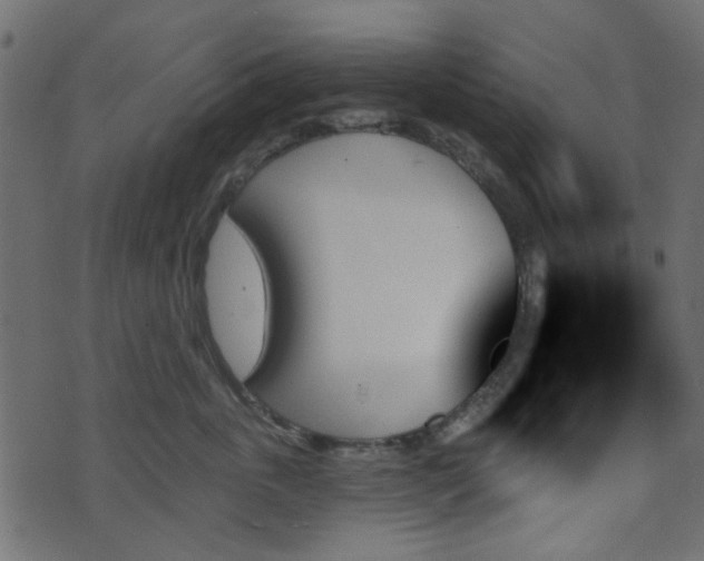 X0000070860763200606231253