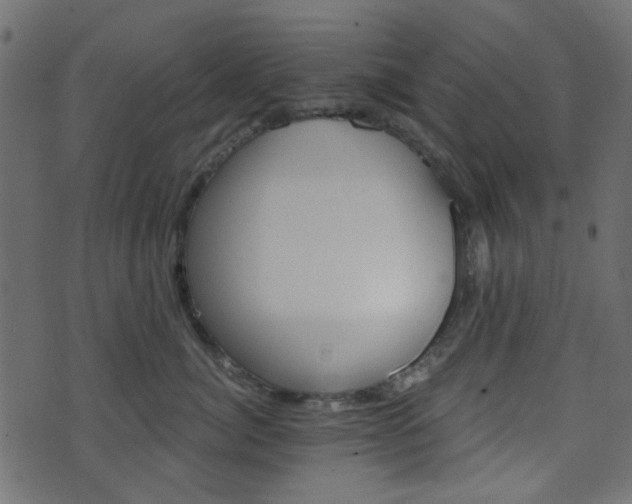 X0000070860764200606231253