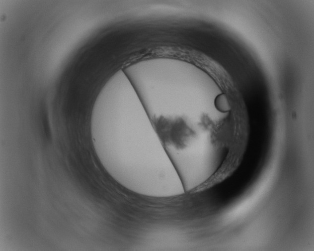 X0000070860765200606231253