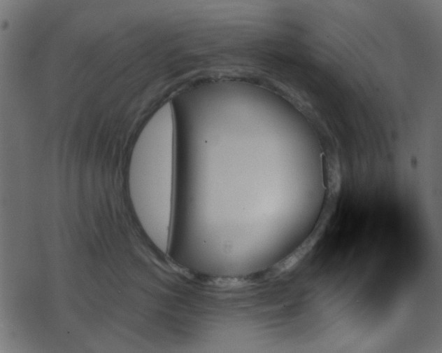 X0000070860766200606231253