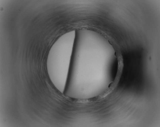 X0000070860767200606231253