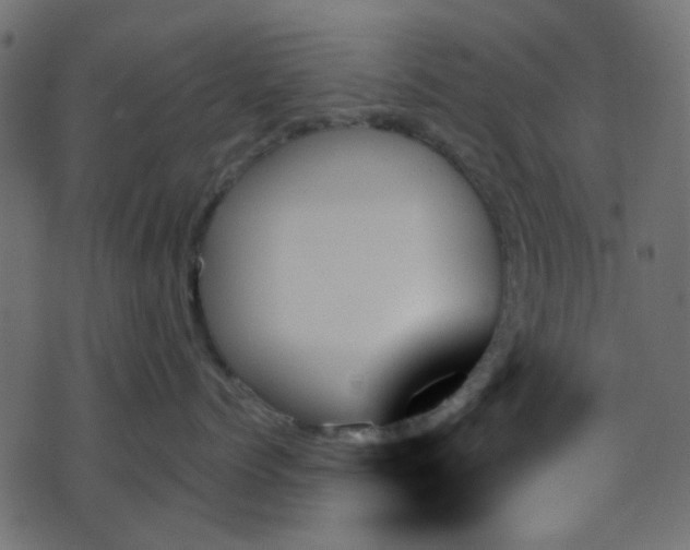 X0000070860768200606231253