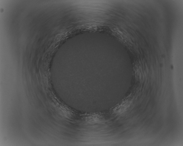 X0000070860769200606231252