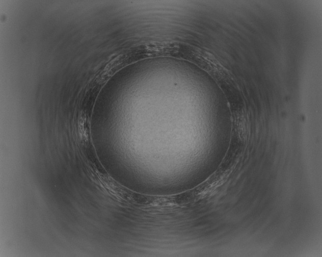 X0000070860770200606231252