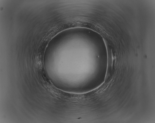 X0000070860771200606231252