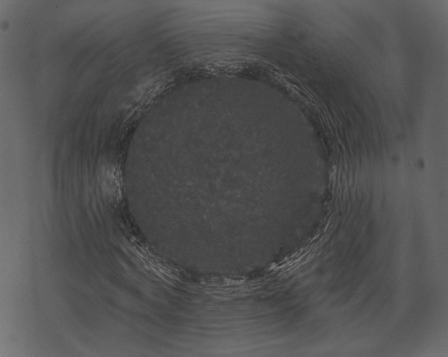 X0000070860772200606231252