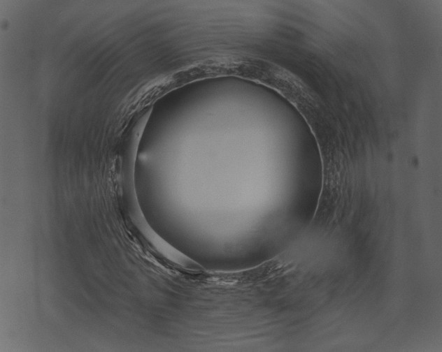 X0000070860773200606231252