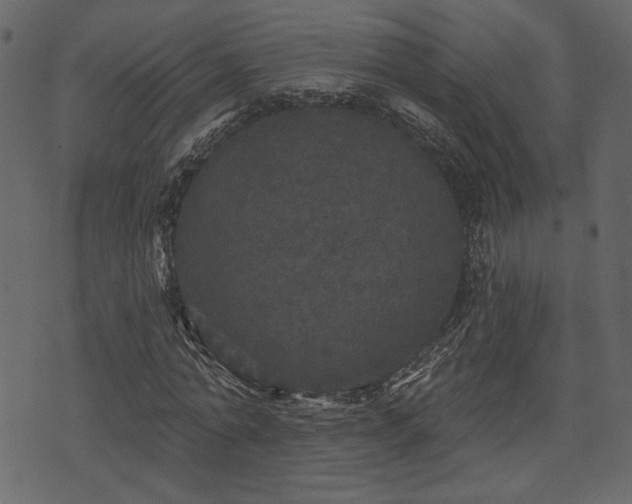 X0000070860774200606231252