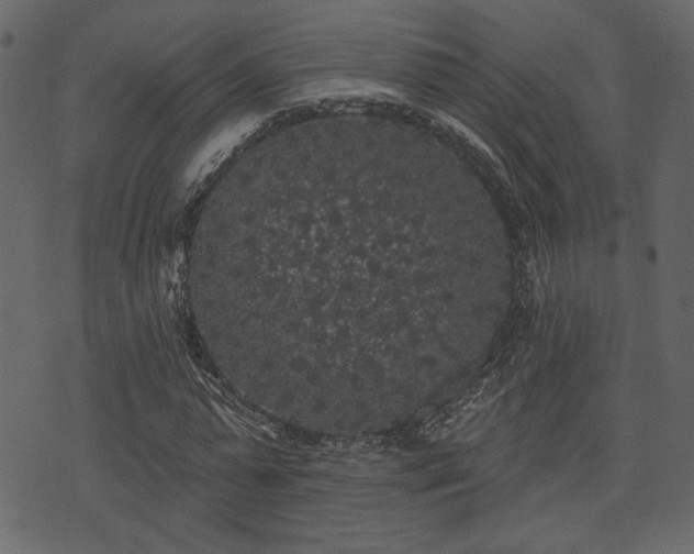 X0000070860775200606231252