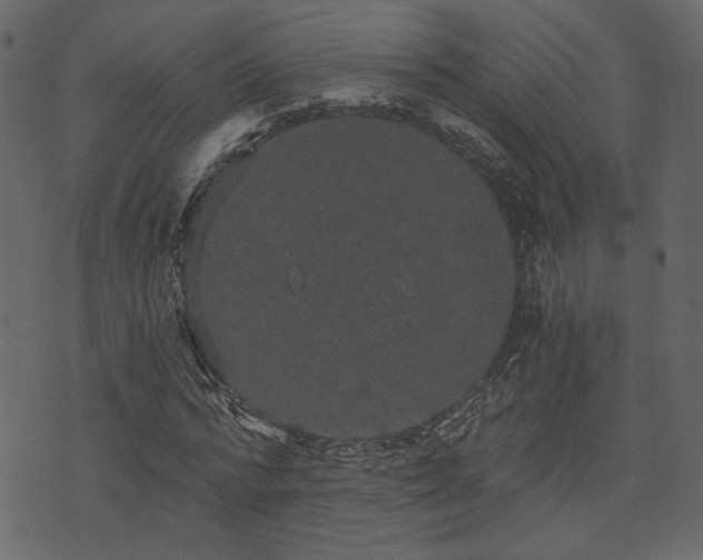 X0000070860776200606231252