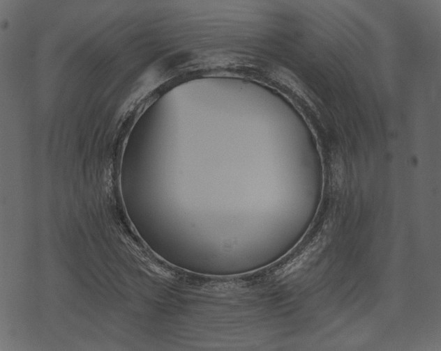 X0000070860778200606231252