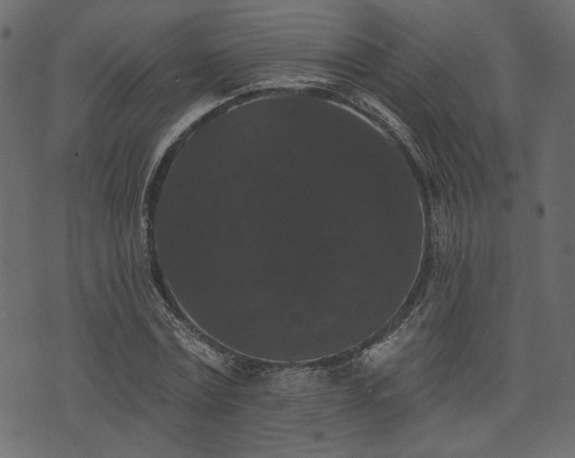 X0000070860779200606231252