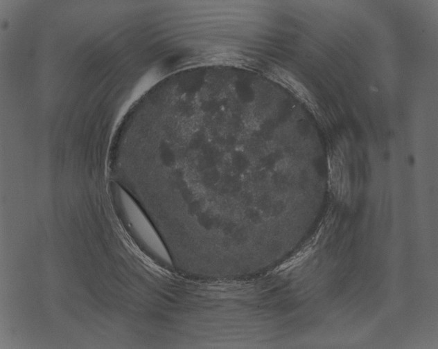 X0000070860780200606231252