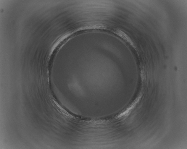 X0000070860781200606231252