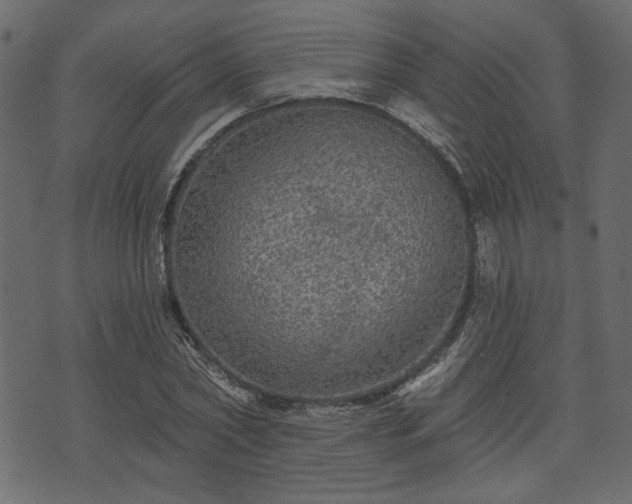 X0000070860782200606231252