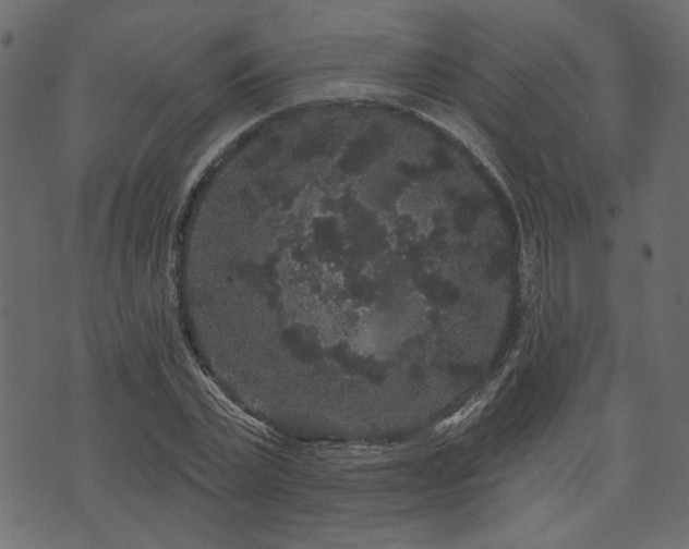 X0000070860783200606231252