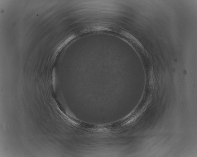 X0000070860785200606231252